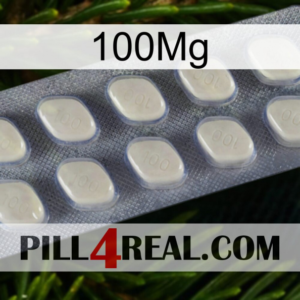 100Mg 08.jpg